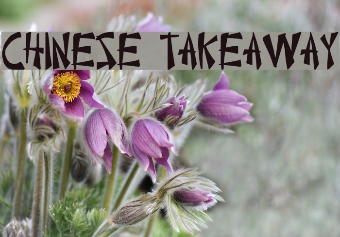 Chinese Takeaway Example 3