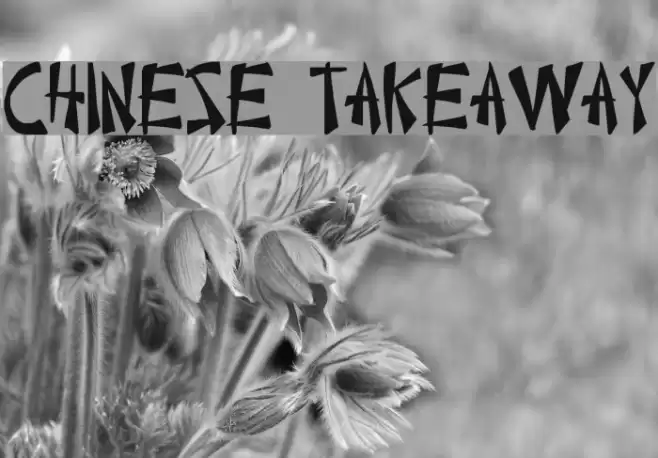 Chinese Takeaway Font examples