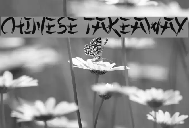 Chinese Takeaway Font examples