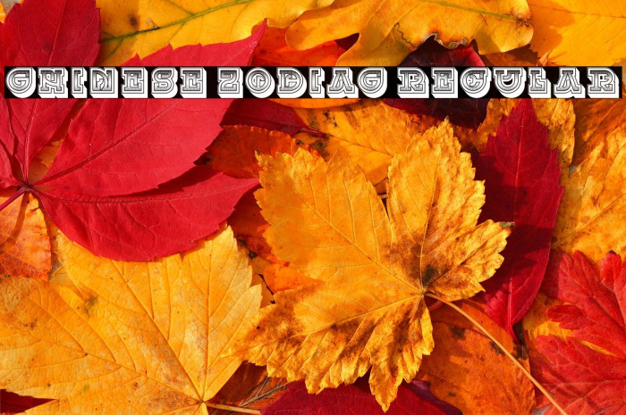 Chinese Zodiac Regular Example 2