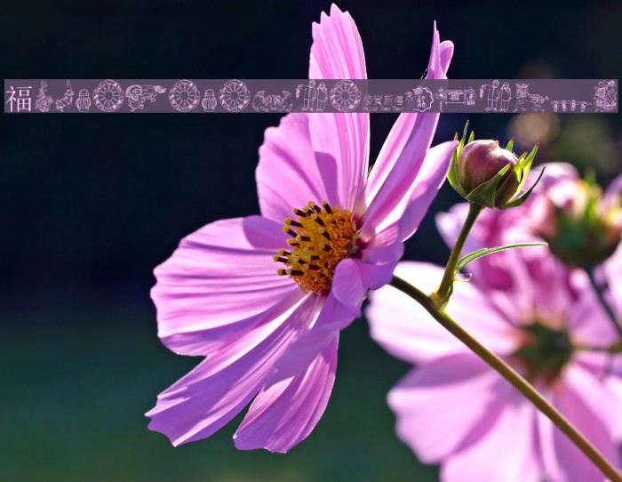 ChineseNewYearByTom Example 2