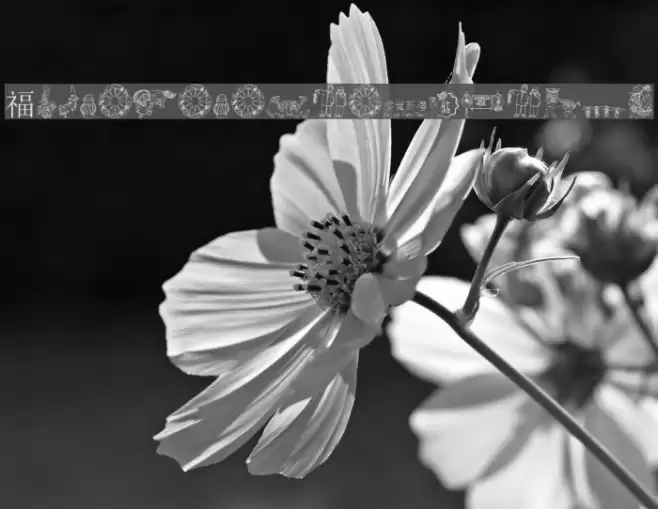 ChineseNewYearByTom Font examples