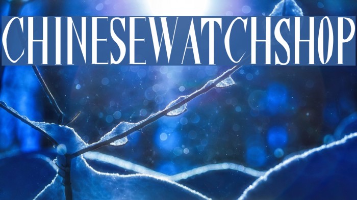 ChineseWatchShop Font examples