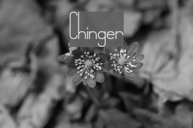 Chinger Font examples