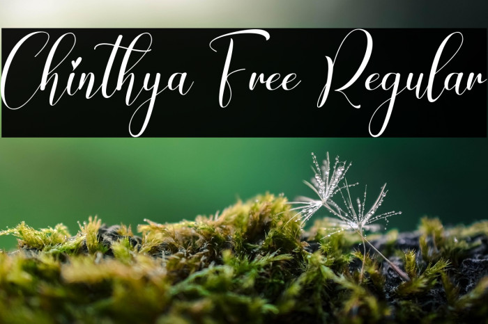 Chinthya Free Regular Example 2