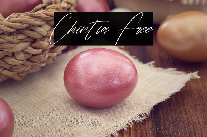 Chintia Free Example 2