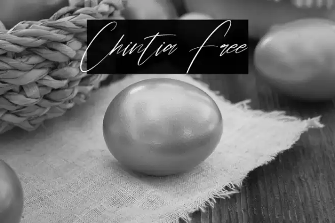 Chintia Free Font examples