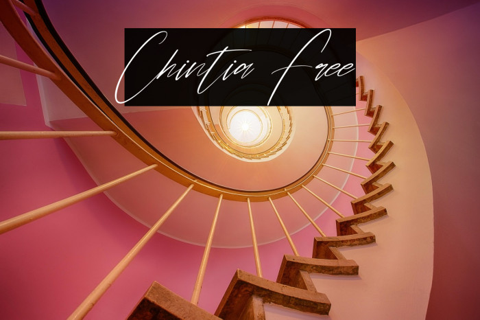 Chintia Free Example 3