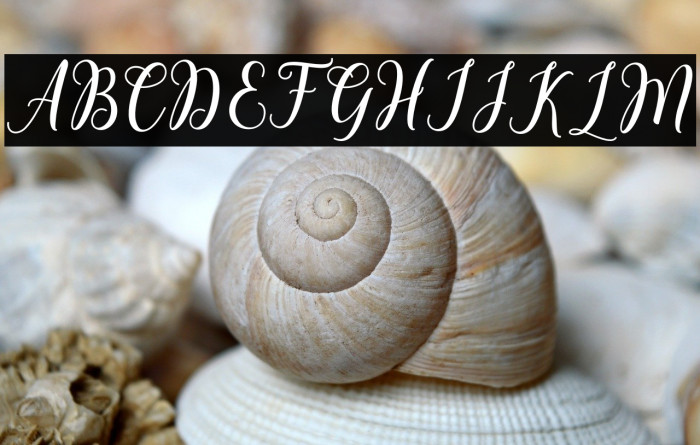 ChintiyaScript Example 1