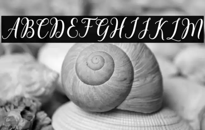 ChintiyaScript Font examples