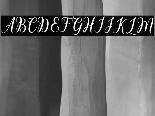 ChintiyaScript Font examples