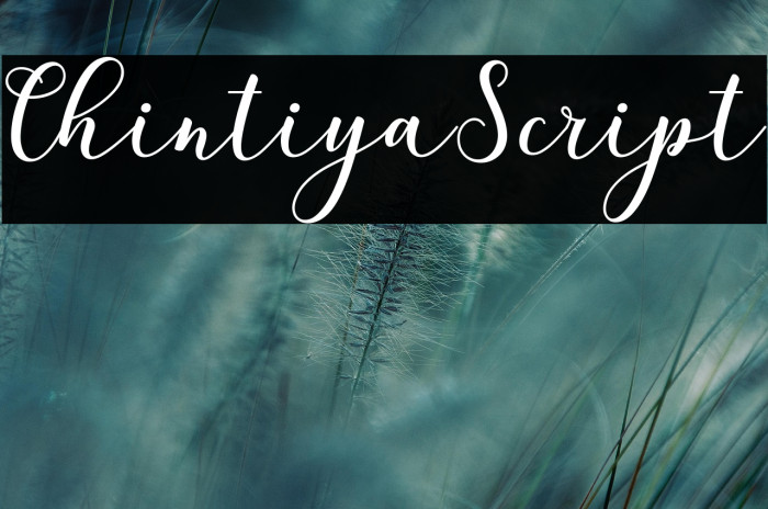 ChintiyaScript Example 1