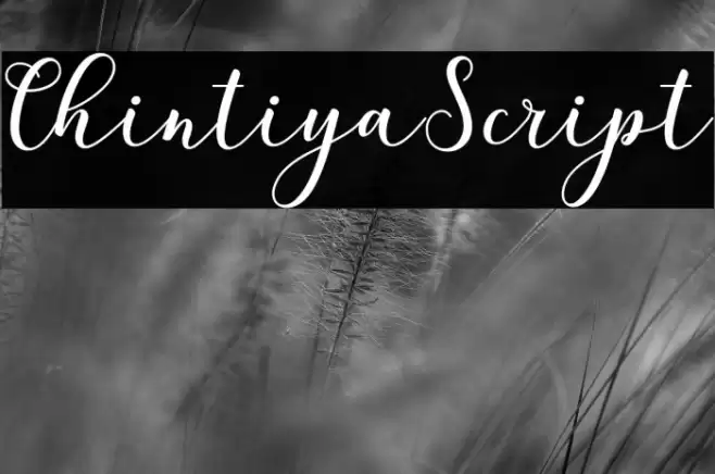 ChintiyaScript Font examples