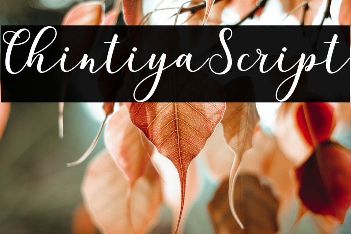 ChintiyaScript Example 3