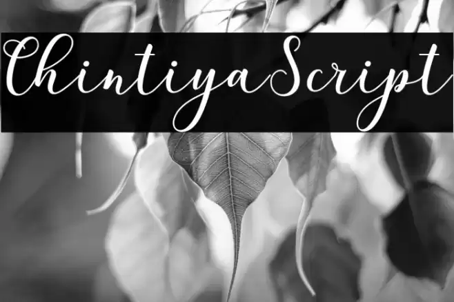 ChintiyaScript Font examples