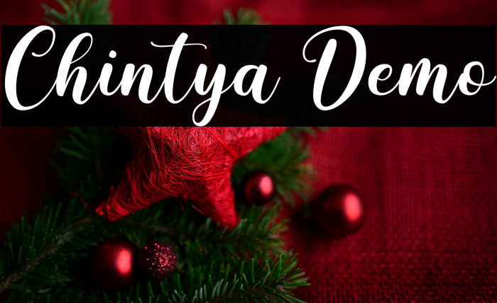 Chintya Demo Example 1