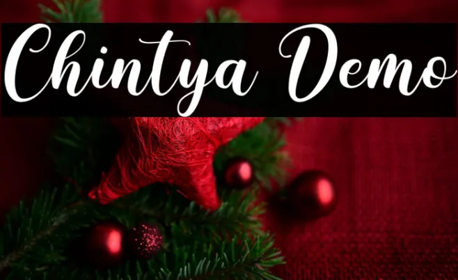 Chintya Demo Example 1