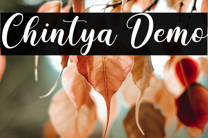 Chintya Demo Example 2