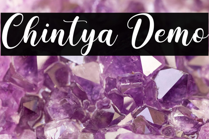 Chintya Demo Example 3