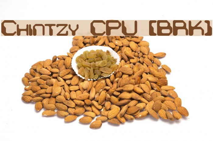 Chintzy CPU [BRK] Example 2