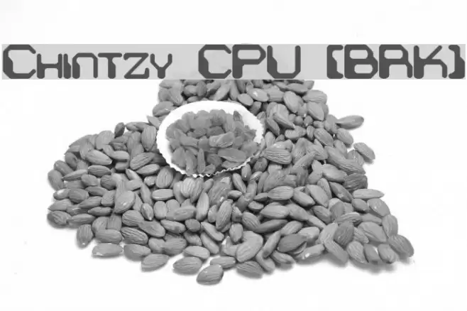 Chintzy CPU [BRK] Font examples