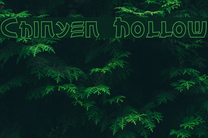 Chinyen Hollow Example 1