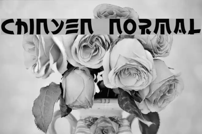 Chinyen Normal Font examples