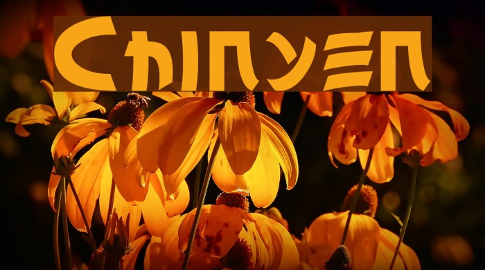 Chinyen Font examples