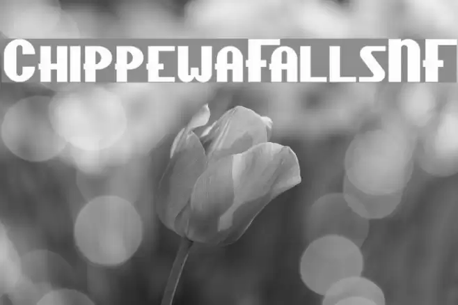 ChippewaFallsNF Font examples