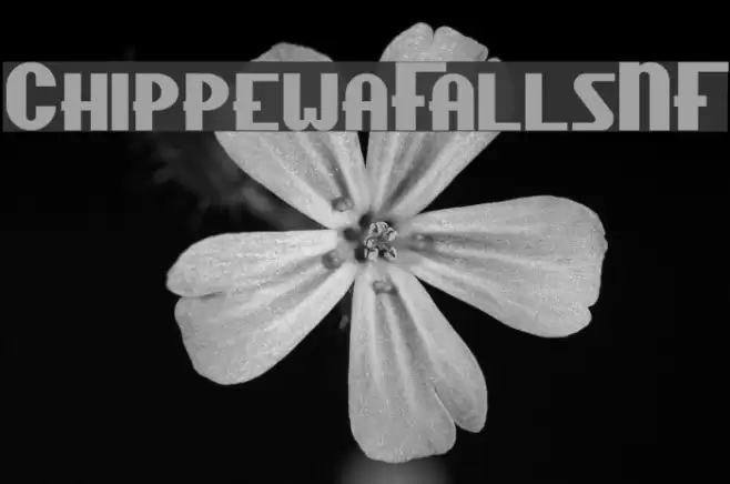 ChippewaFallsNF Font examples