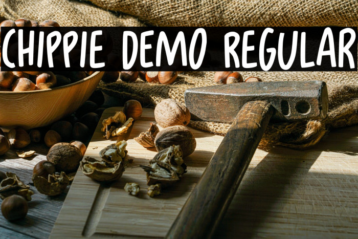 Chippie DEMO Regular Example 2