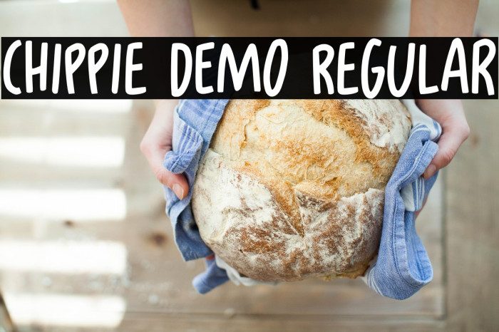 Chippie DEMO Regular Example 3
