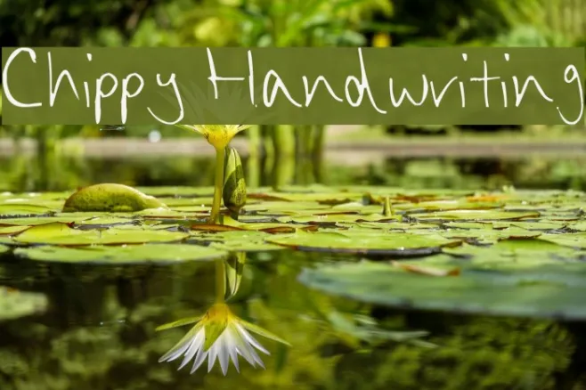 Chippy Handwriting Example 2