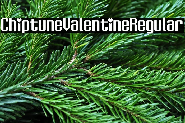 Chiptune Valentine Regular Example 1