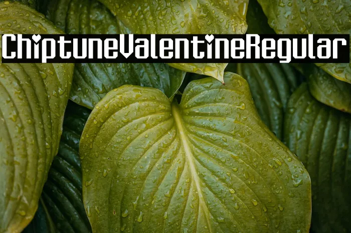 Chiptune Valentine Regular Example 2