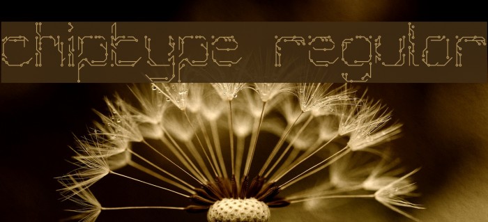 Chiptype Regular Font examples