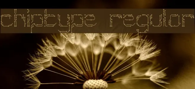 Chiptype Regular Example 1