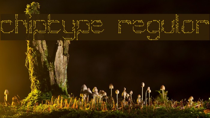 Chiptype Regular Font examples