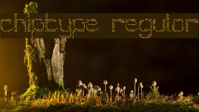 Chiptype Regular Example 3