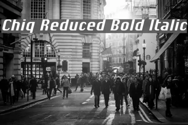 Chiq Reduced Bold Italic Font examples