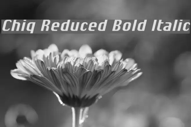 Chiq Reduced Bold Italic Font examples