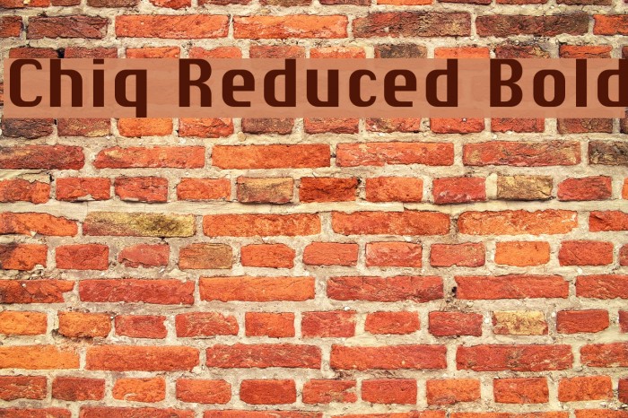 Chiq Reduced Bold Example 3
