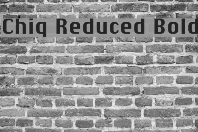 Chiq Reduced Bold Font examples