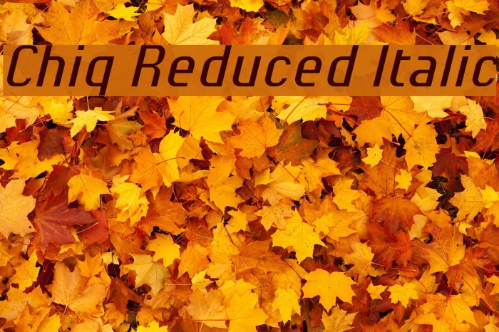 Chiq Reduced Italic Font examples