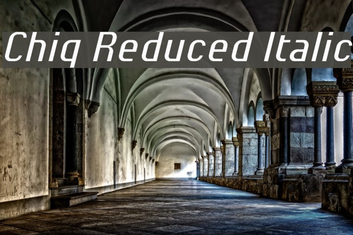Chiq Reduced Italic Font examples
