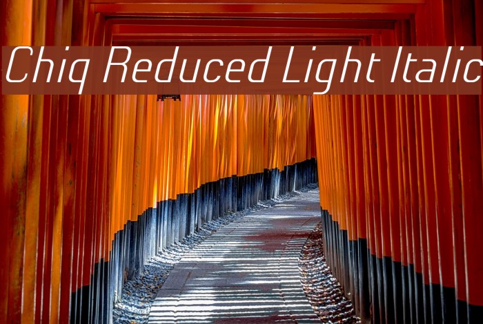 Chiq Reduced Light Italic Font examples