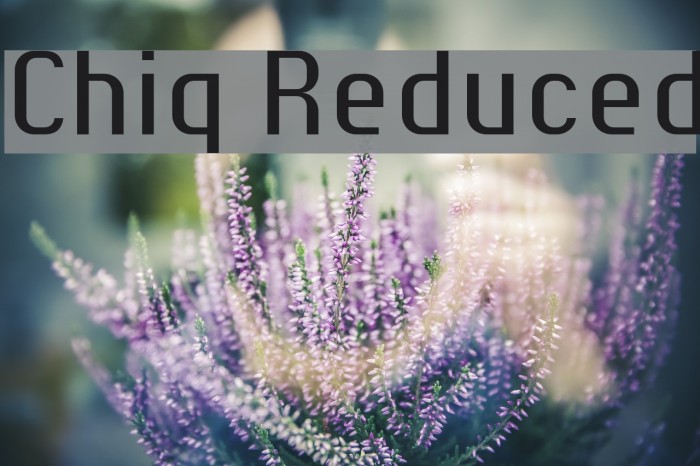 Chiq Reduced Example 1