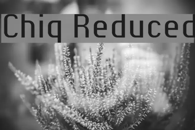 Chiq Reduced Font examples