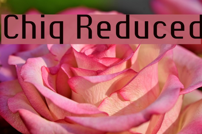 Chiq Reduced Example 2