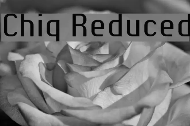 Chiq Reduced Font examples